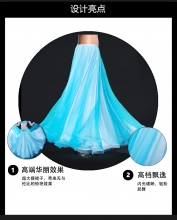 ROYAL SMEELA/皇家西米拉 肚皮舞闪光纱裙子 6043