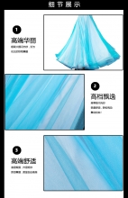 ROYAL SMEELA/皇家西米拉 肚皮舞闪光纱裙子 6043